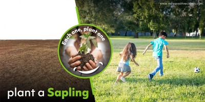 plant a sapling